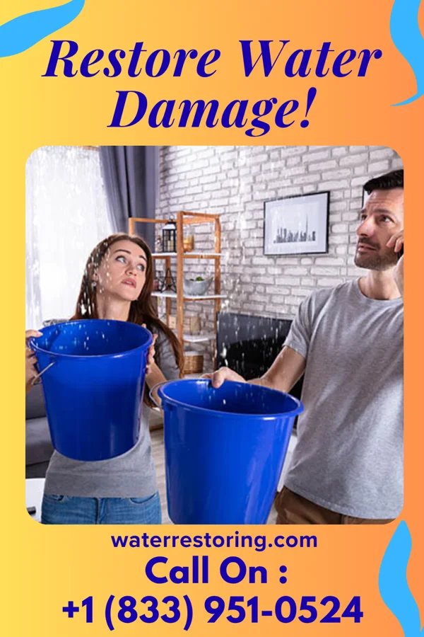 water restoration Best Water Restoration Specialists Wallington