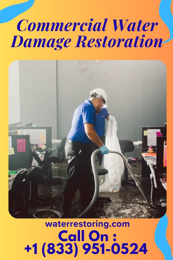 Commercial Water Damage Restoration in Wallington, NJ