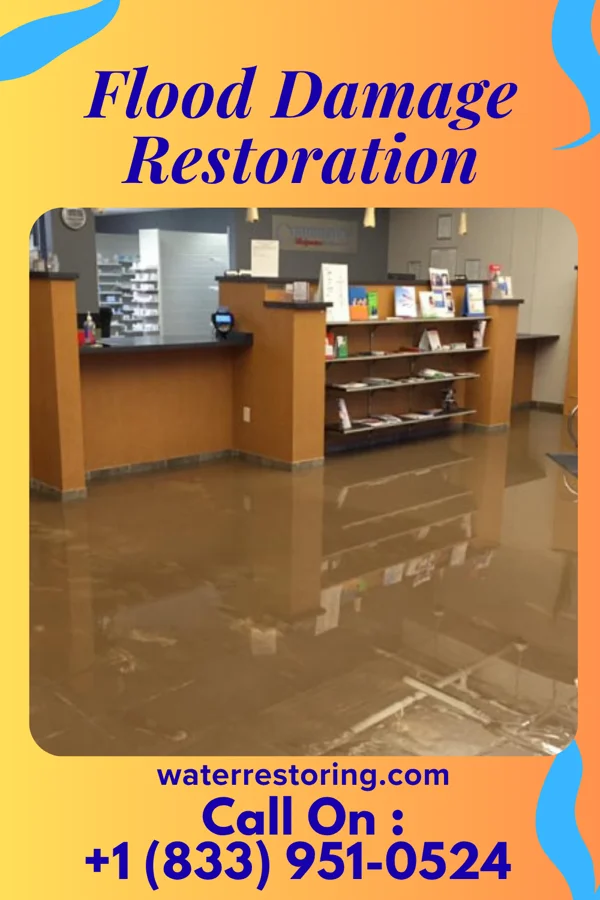 Flood Damage Restoration in Wallington, NJ