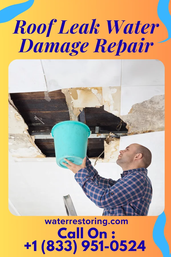 Roof Leak Water Damage Repair in Wallington, NJ