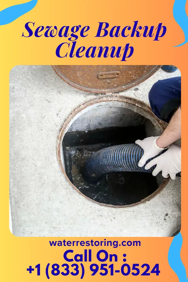 Sewage Backup Cleanup in Wallington, NJ