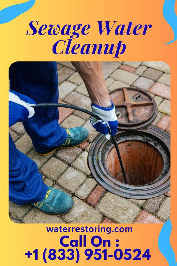 Sewage Water Cleanup in Wallington, NJ