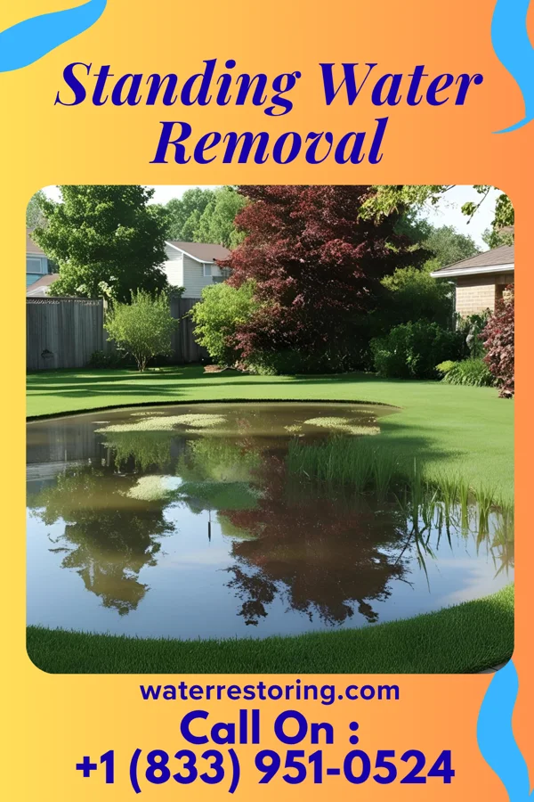 Standing Water Removal in Wallington, NJ